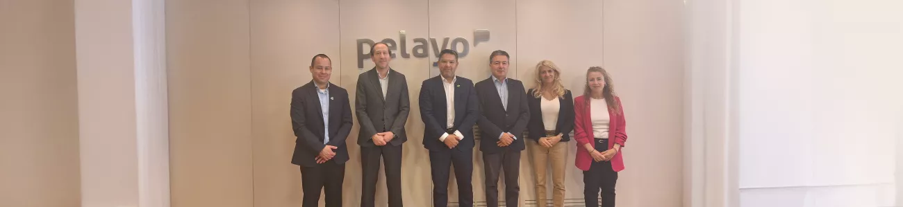pelayo